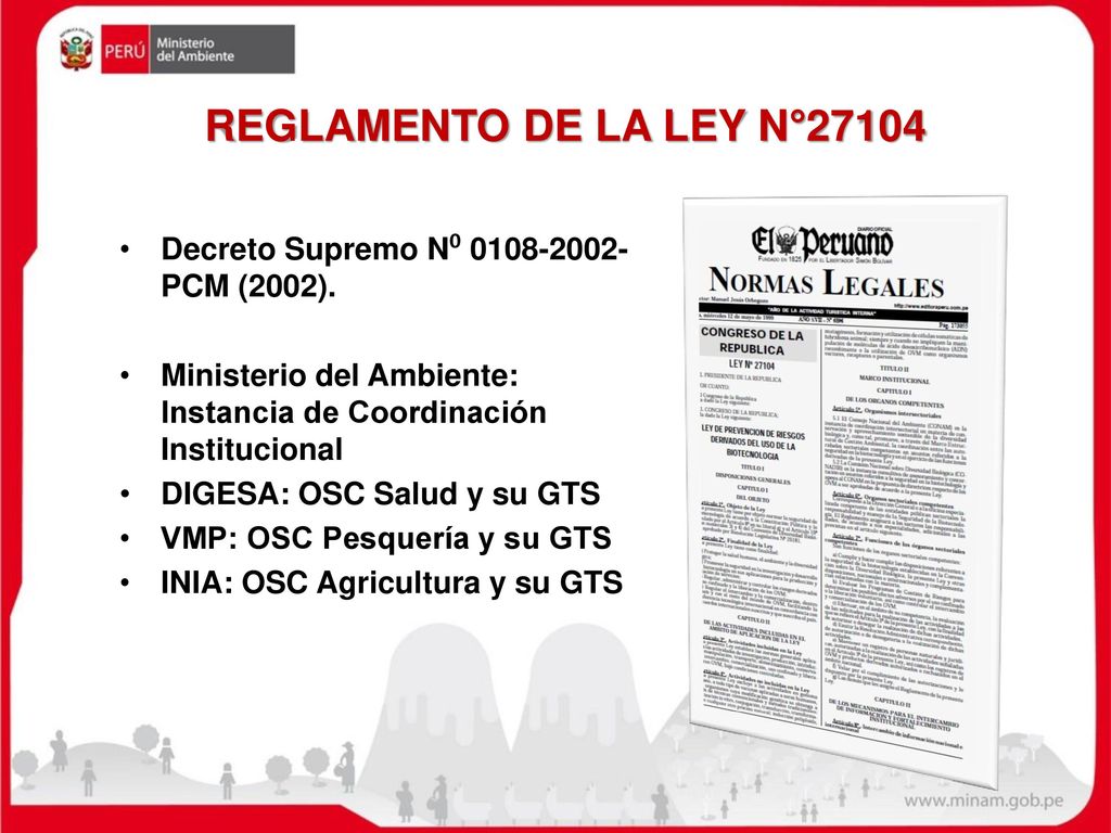 REGLAMENTO DE LA LEY N°27104 Decreto Supremo N⁰ PCM (2002).