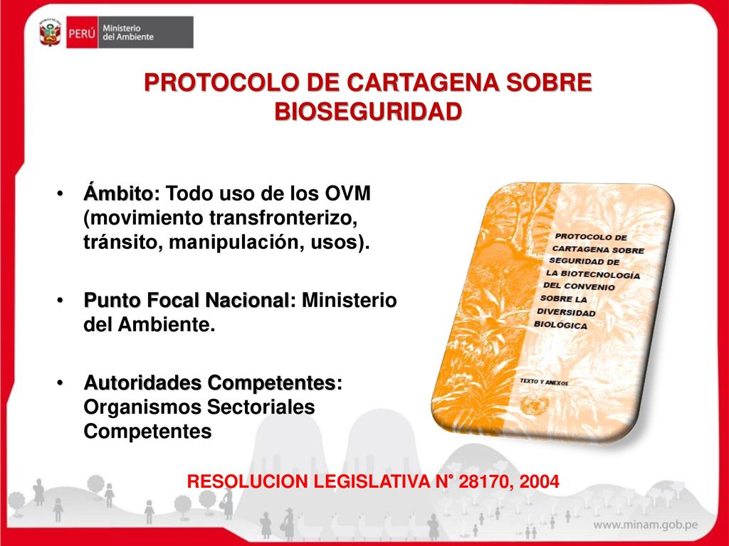 PROTOCOLO DE CARTAGENA SOBRE BIOSEGURIDAD