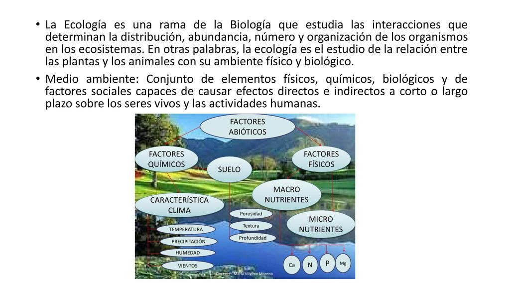 La Ecología es una rama de la Biología que estudia las interacciones que determinan la distribución, abundancia, número y organización de los organismos en los ecosistemas. En otras palabras, la ecología es el estudio de la relación entre las plantas y los animales con su ambiente físico y biológico.