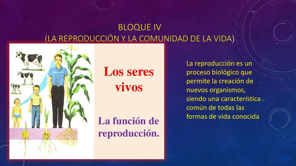Bloque iv (la reproducción y la comunidad de la vida)