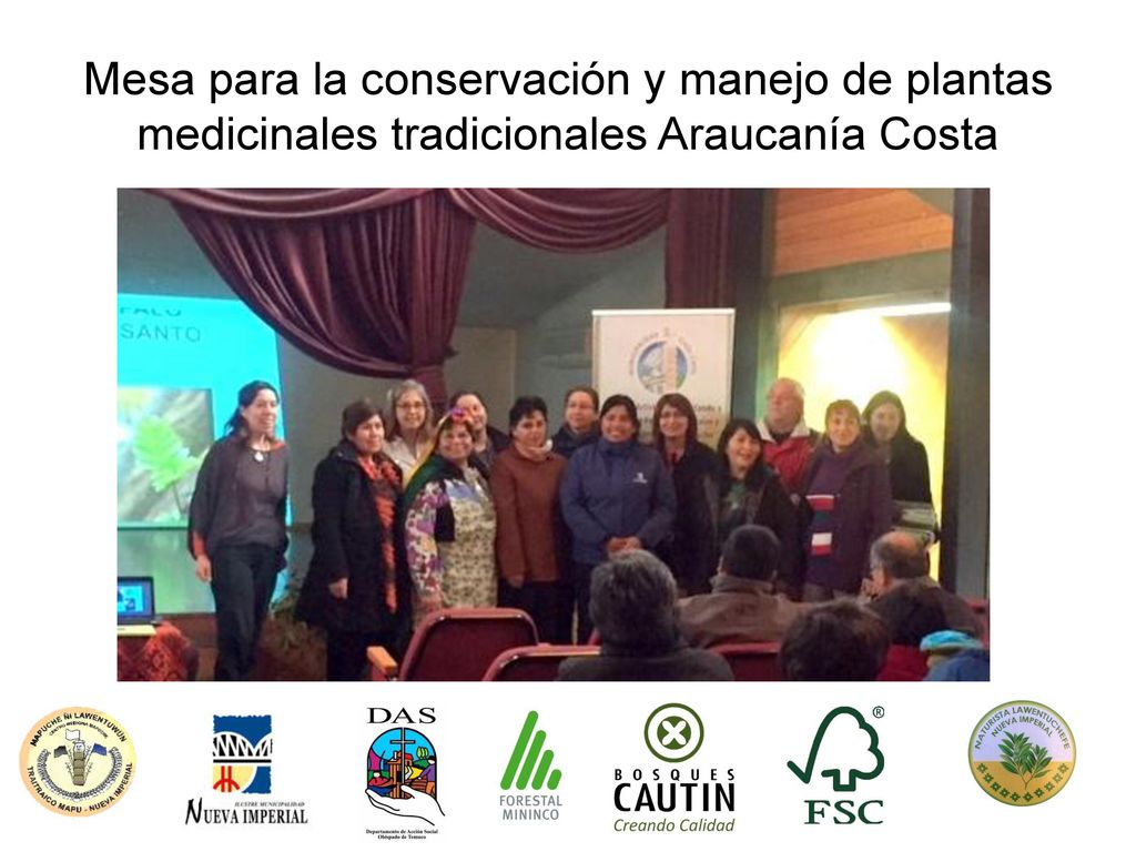 Mesa para la conservación y manejo de plantas medicinales tradicionales Araucanía Costa