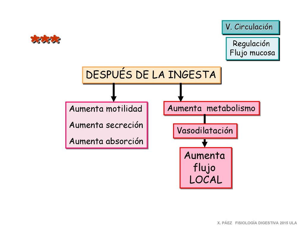 *** DESPUÉS DE LA INGESTA Aumenta flujo LOCAL Aumenta motilidad