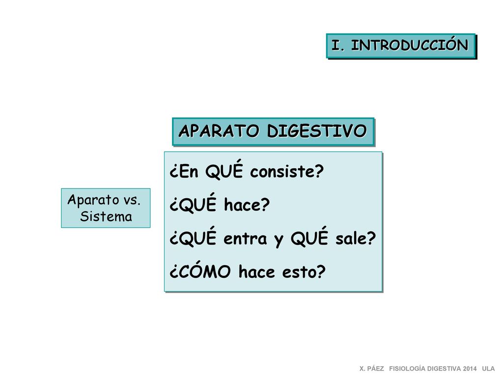 APARATO DIGESTIVO ¿En QUÉ consiste ¿QUÉ hace ¿QUÉ entra y QUÉ sale