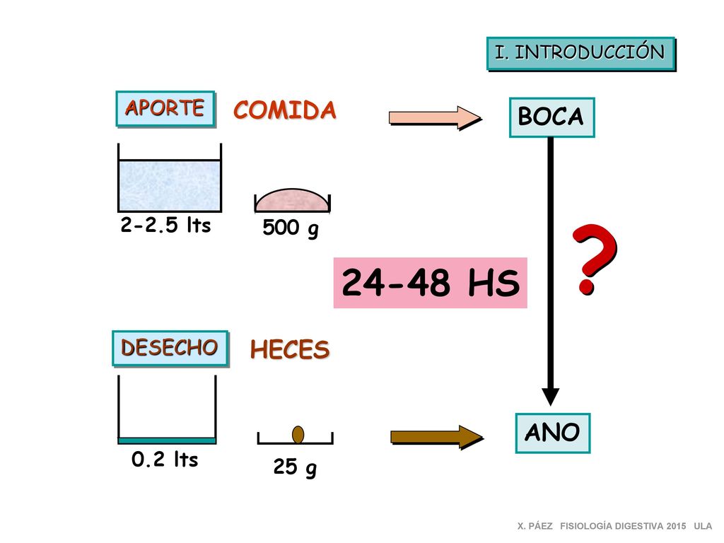 HS COMIDA BOCA HECES ANO APORTE lts 500 g DESECHO
