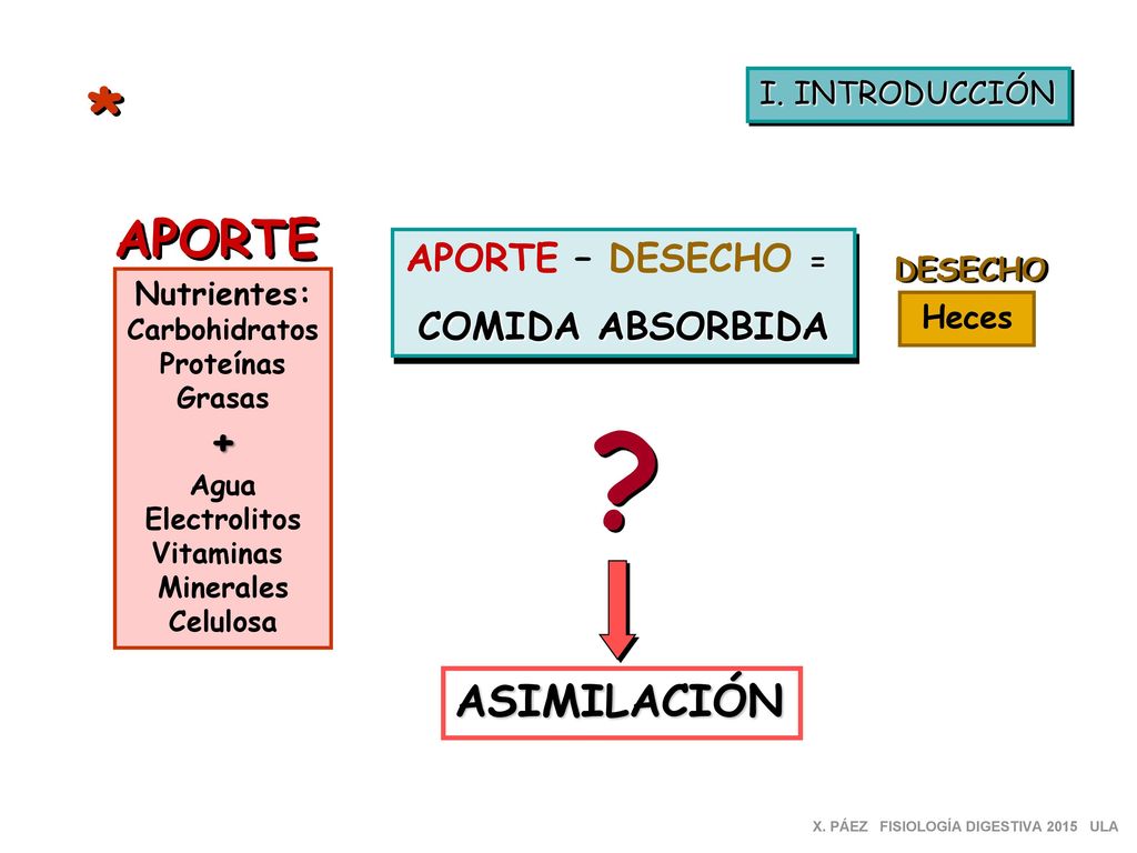 * APORTE + ASIMILACIÓN APORTE – DESECHO = COMIDA ABSORBIDA