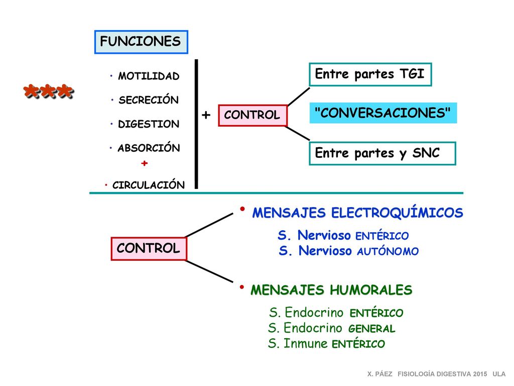 *** + + FUNCIONES Entre partes TGI CONVERSACIONES Entre partes y SNC