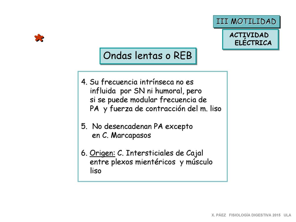 * Ondas lentas o REB III MOTILIDAD 4. Su frecuencia intrínseca no es