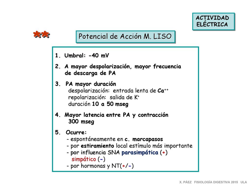** Potencial de Acción M. LISO ACTIVIDAD ELÉCTRICA Umbral: -40 mV