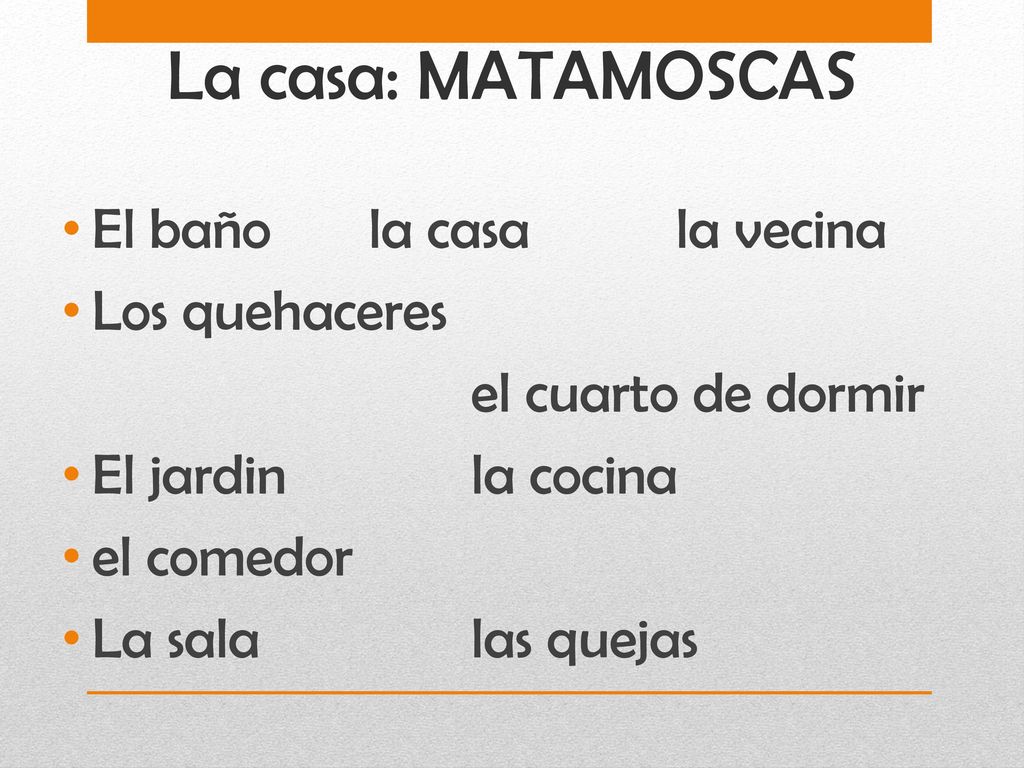 La casa: MATAMOSCAS El baño la casa la vecina Los quehaceres