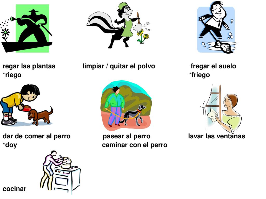 regar las plantas limpiar / quitar el polvo fregar el suelo