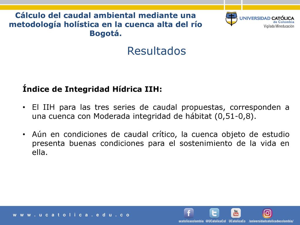 Cálculo del caudal ambiental mediante una metodología holística en la cuenca alta del río Bogotá.