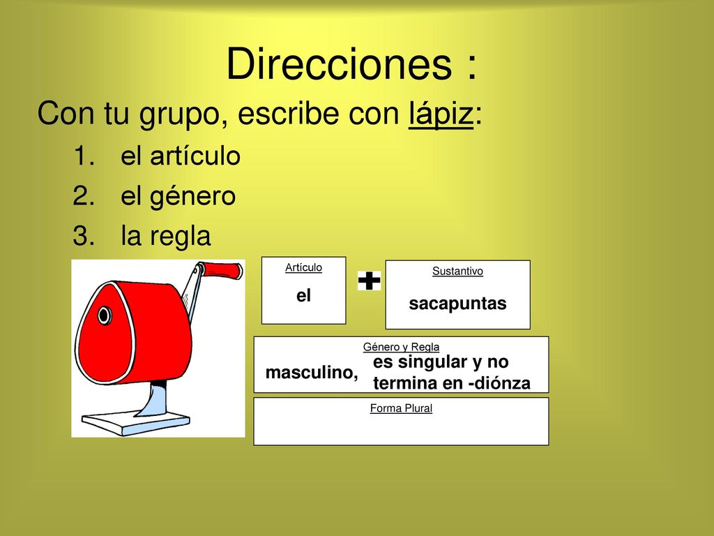 Direcciones : Con tu grupo, escribe con lápiz: el artículo el género