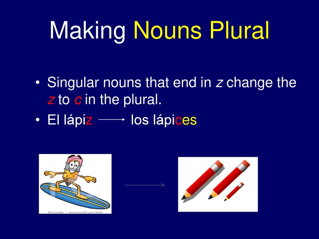 Making Nouns Plural Singular nouns that end in z change the z to c in the plural.