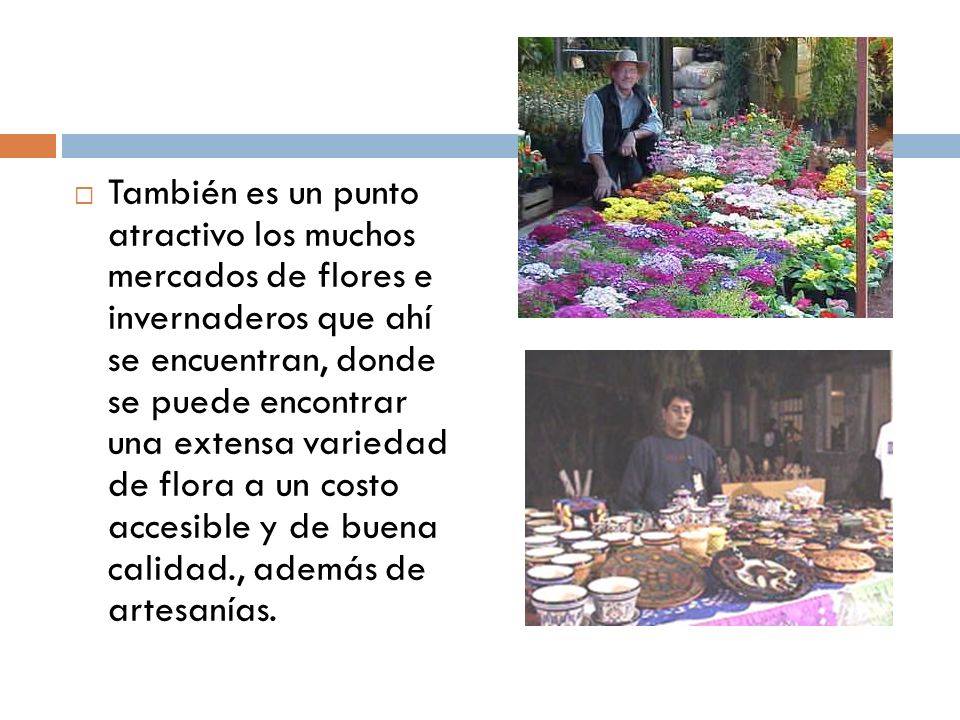 También es un punto atractivo los muchos mercados de flores e invernaderos que ahí se encuentran, donde se puede encontrar una extensa variedad de flora a un costo accesible y de buena calidad., además de artesanías.