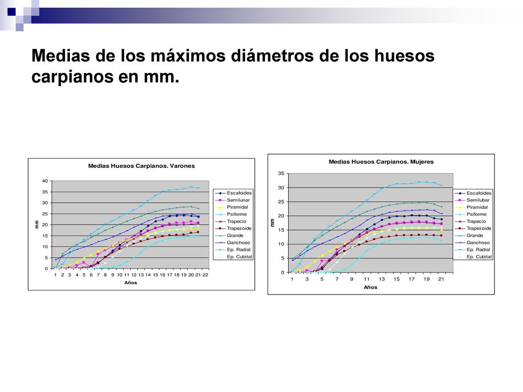 Medias de los máximos diámetros de los huesos carpianos en mm.