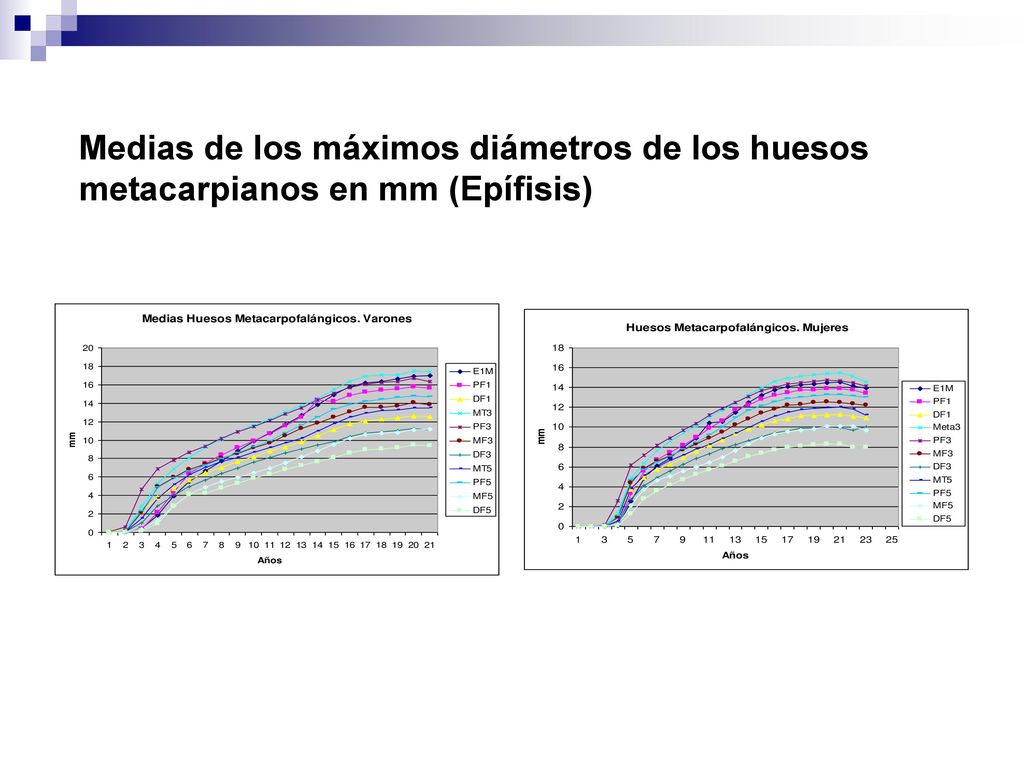 Medias de los máximos diámetros de los huesos metacarpianos en mm (Epífisis)