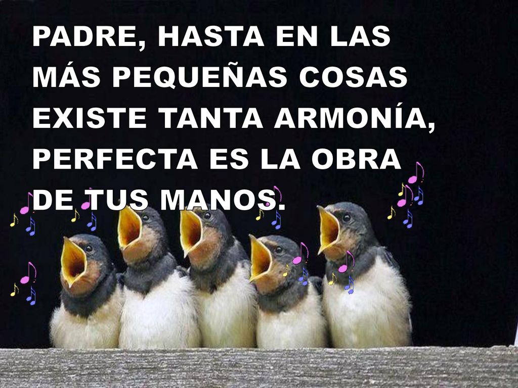 PADRE, HASTA EN LAS MÁS PEQUEÑAS COSAS EXISTE TANTA ARMONÍA, PERFECTA ES LA OBRA DE TUS MANOS.