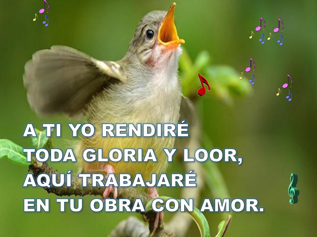 A TI YO RENDIRÉ TODA GLORIA Y LOOR, AQUÍ TRABAJARÉ EN TU OBRA CON AMOR.