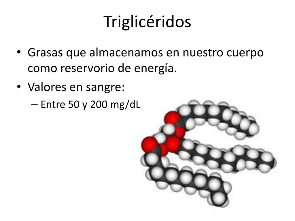 Triglicéridos Grasas que almacenamos en nuestro cuerpo como reservorio de energía. Valores en sangre: