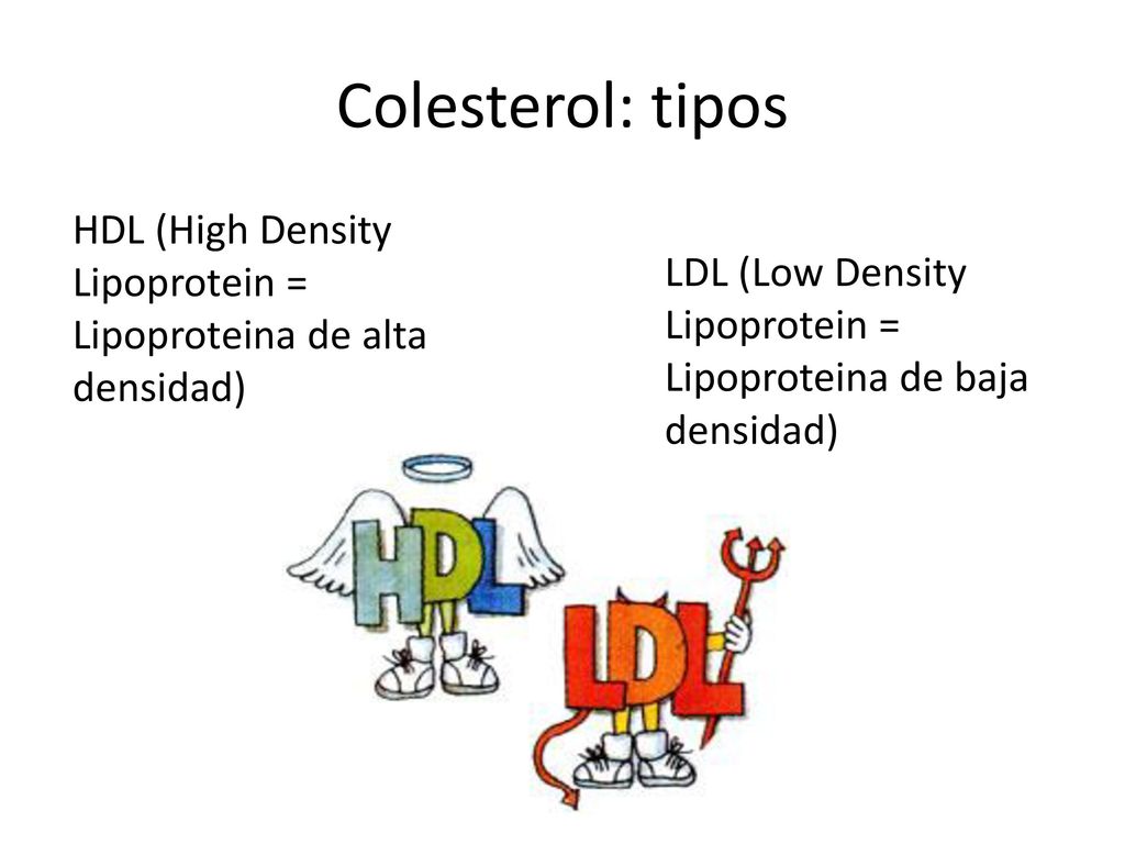 Colesterol: tipos HDL (High Density Lipoprotein = Lipoproteina de alta densidad) LDL (Low Density Lipoprotein = Lipoproteina de baja densidad)