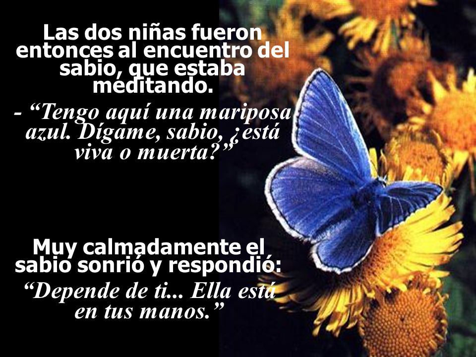 - Tengo aquí una mariposa azul. Dígame, sabio, ¿está viva o muerta