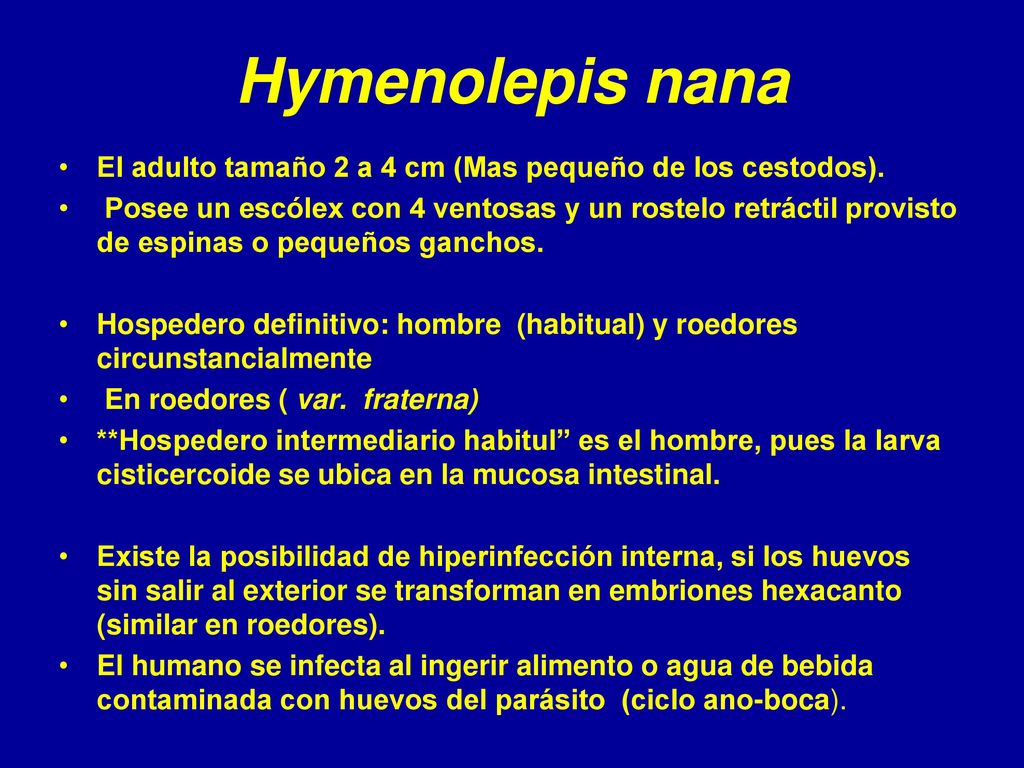 Hymenolepis nana El adulto tamaño 2 a 4 cm (Mas pequeño de los cestodos).