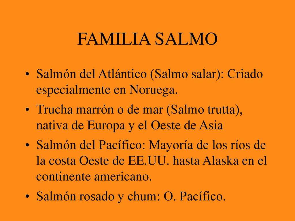 FAMILIA SALMO Salmón del Atlántico (Salmo salar): Criado especialmente en Noruega.