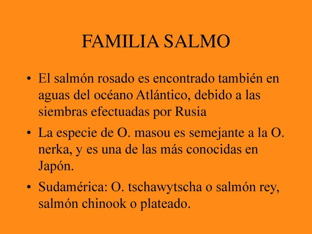 FAMILIA SALMO El salmón rosado es encontrado también en aguas del océano Atlántico, debido a las siembras efectuadas por Rusia.