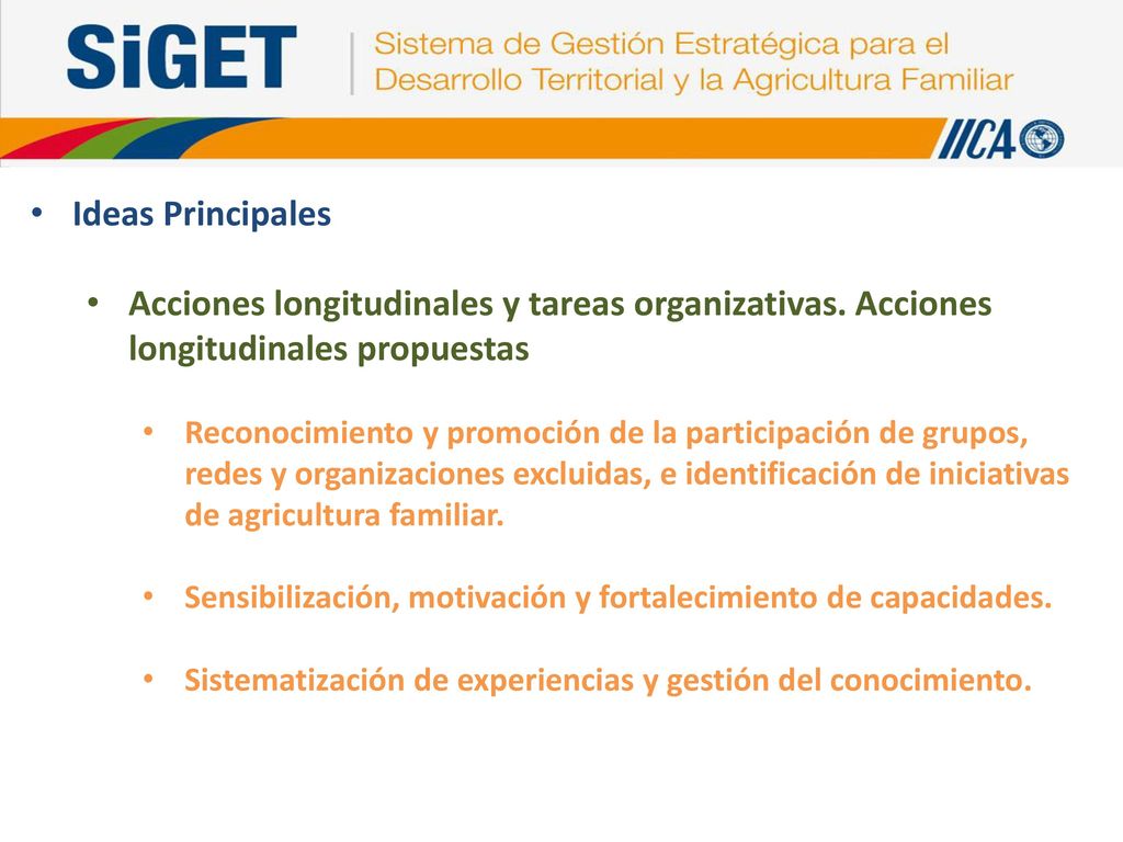 Ideas Principales Acciones longitudinales y tareas organizativas. Acciones longitudinales propuestas.