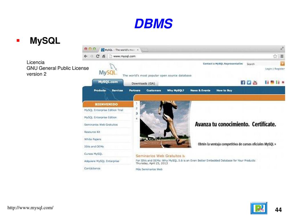 DBMS MySQL 44 Licencia GNU General Public License version 2