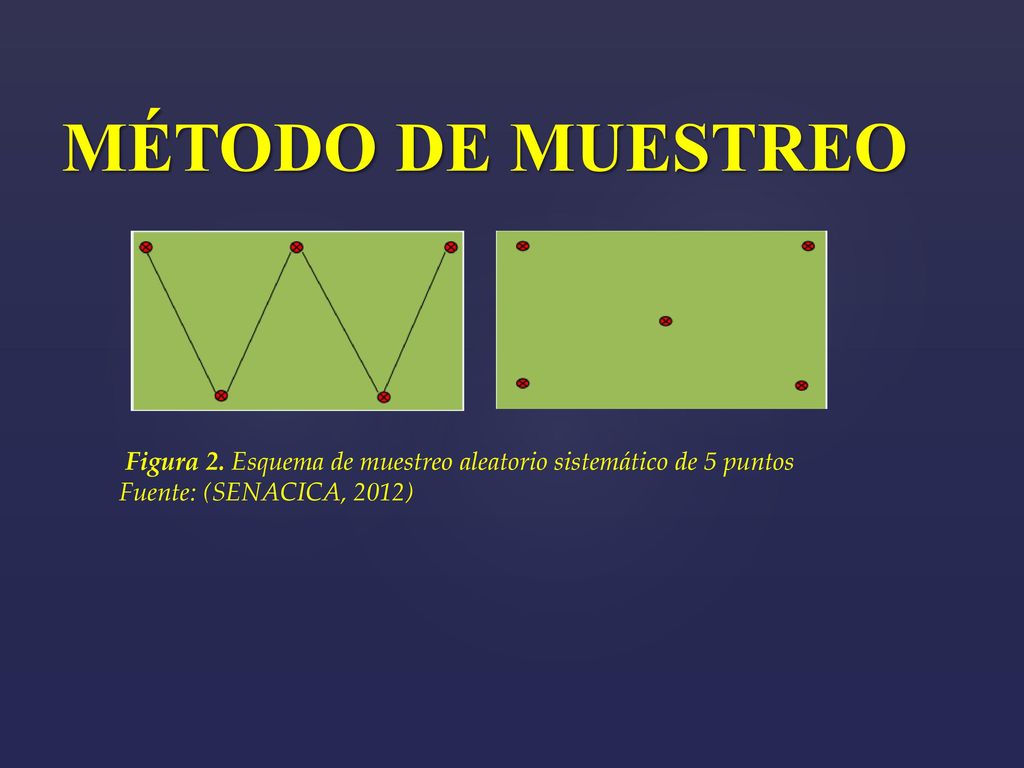MÉTODO DE MUESTREO Figura 2. Esquema de muestreo aleatorio sistemático de 5 puntos.