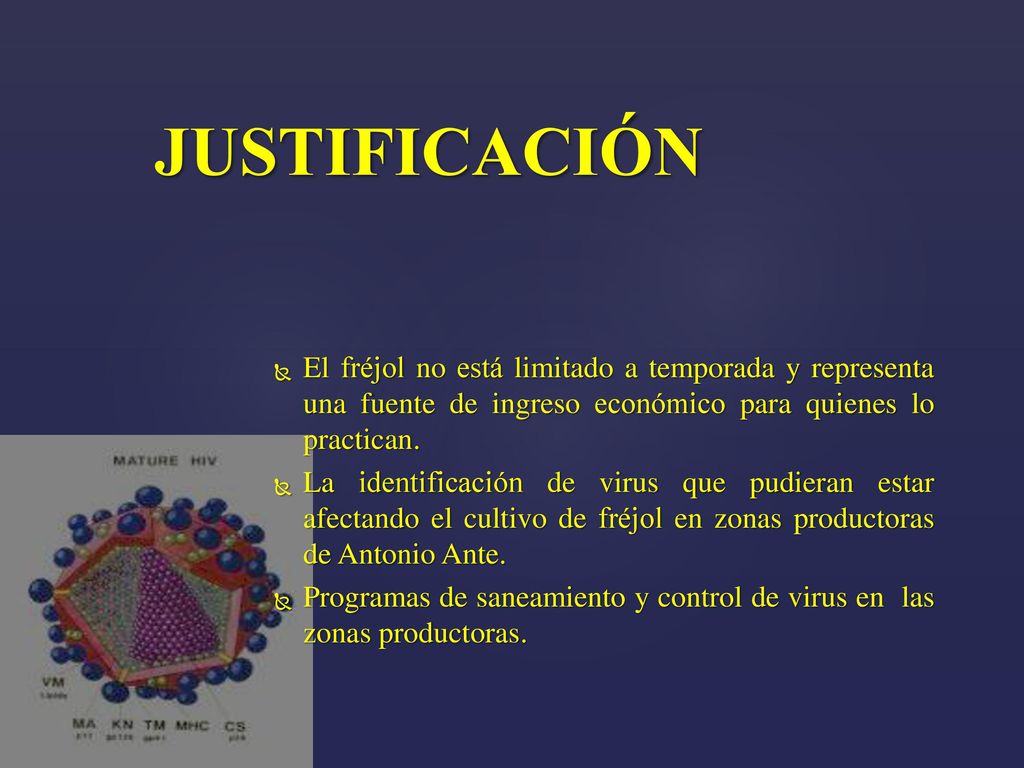 JUSTIFICACIÓN El fréjol no está limitado a temporada y representa una fuente de ingreso económico para quienes lo practican.