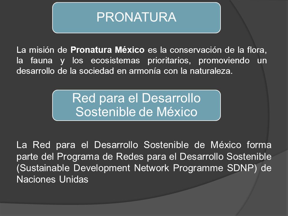 Red para el Desarrollo Sostenible de México