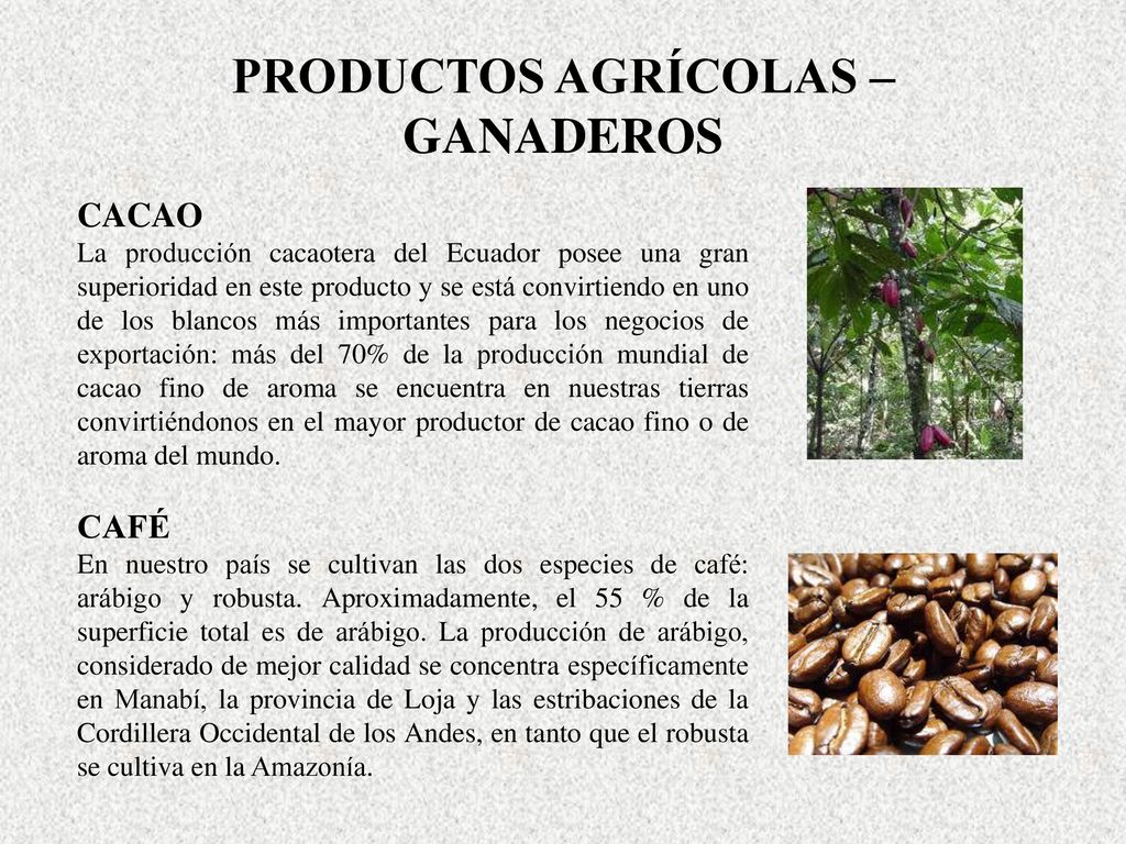 PRODUCTOS AGRÍCOLAS – GANADEROS