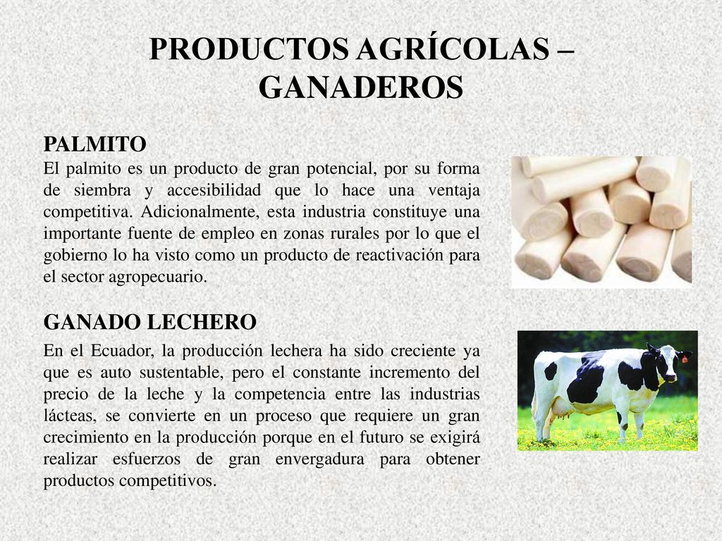 PRODUCTOS AGRÍCOLAS – GANADEROS