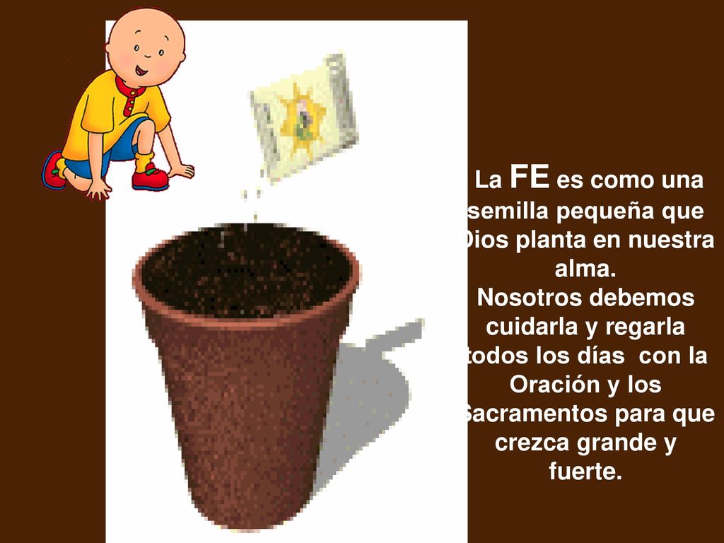 La FE es como una semilla pequeña que Dios planta en nuestra alma.