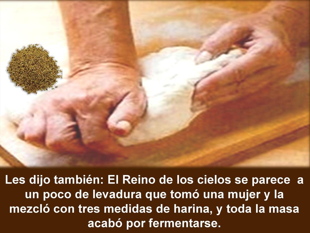 Les dijo también: El Reino de los cielos se parece a un poco de levadura que tomó una mujer y la mezcló con tres medidas de harina, y toda la masa acabó por fermentarse.