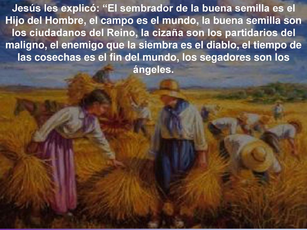 Jesús les explicó: El sembrador de la buena semilla es el Hijo del Hombre, el campo es el mundo, la buena semilla son los ciudadanos del Reino, la cizaña son los partidarios del maligno, el enemigo que la siembra es el diablo, el tiempo de las cosechas es el fin del mundo, los segadores son los ángeles.