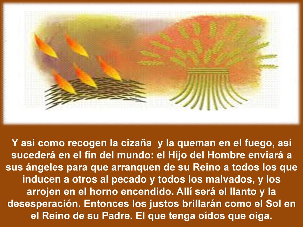 Y así como recogen la cizaña y la queman en el fuego, así sucederá en el fin del mundo: el Hijo del Hombre enviará a sus ángeles para que arranquen de su Reino a todos los que inducen a otros al pecado y todos los malvados, y los arrojen en el horno encendido.