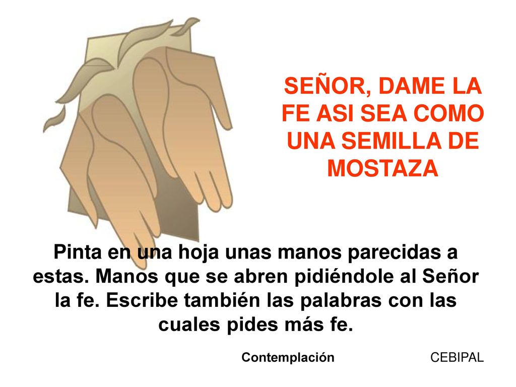 SEÑOR, DAME LA FE ASI SEA COMO UNA SEMILLA DE MOSTAZA