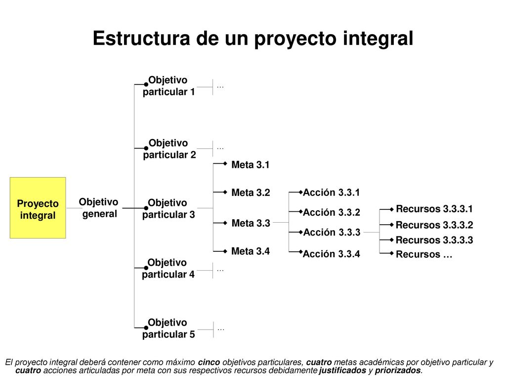 Especificaciones para los objetivos particulares de un proyecto integral para una DES.
