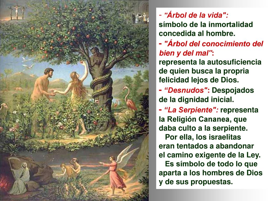 - Árbol del conocimiento del bien y del mal :