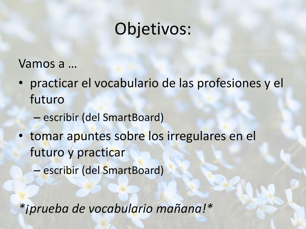 Objetivos: Vamos a … practicar el vocabulario de las profesiones y el futuro. escribir (del SmartBoard)