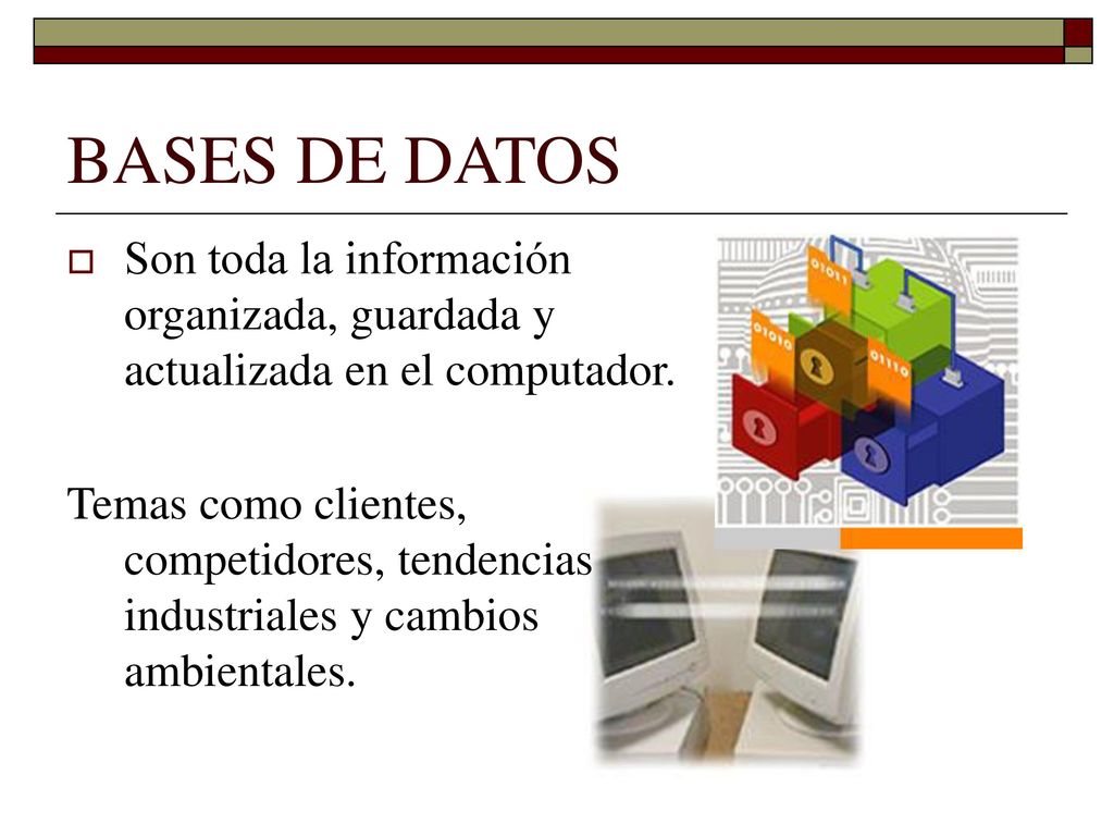 BASES DE DATOS Son toda la información organizada, guardada y actualizada en el computador.
