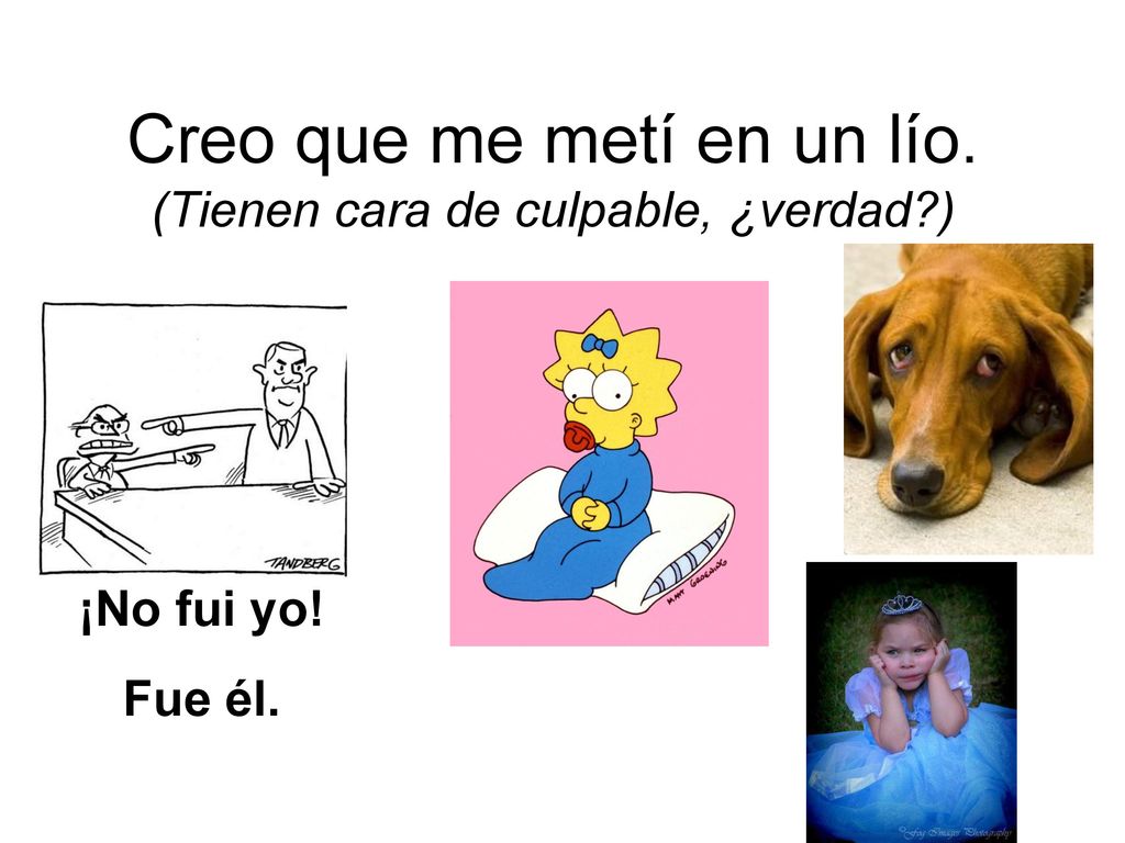 Creo que me metí en un lío. (Tienen cara de culpable, ¿verdad )