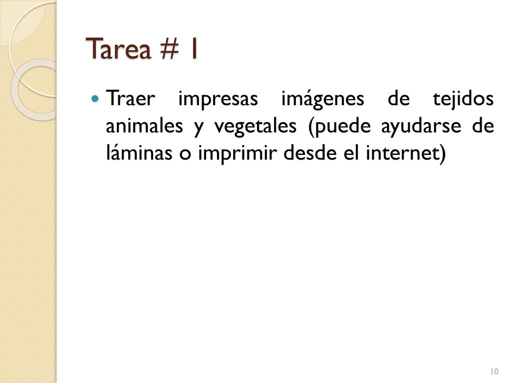 Tarea # 1 Traer impresas imágenes de tejidos animales y vegetales (puede ayudarse de láminas o imprimir desde el internet)