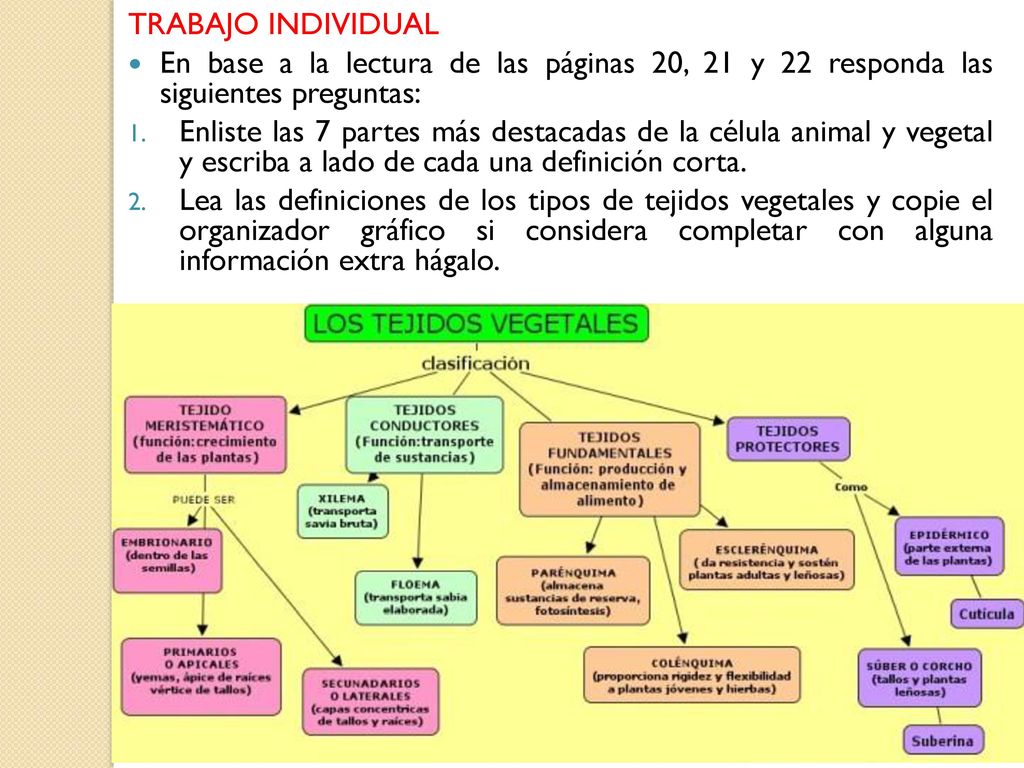 TRABAJO INDIVIDUAL En base a la lectura de las páginas 20, 21 y 22 responda las siguientes preguntas: