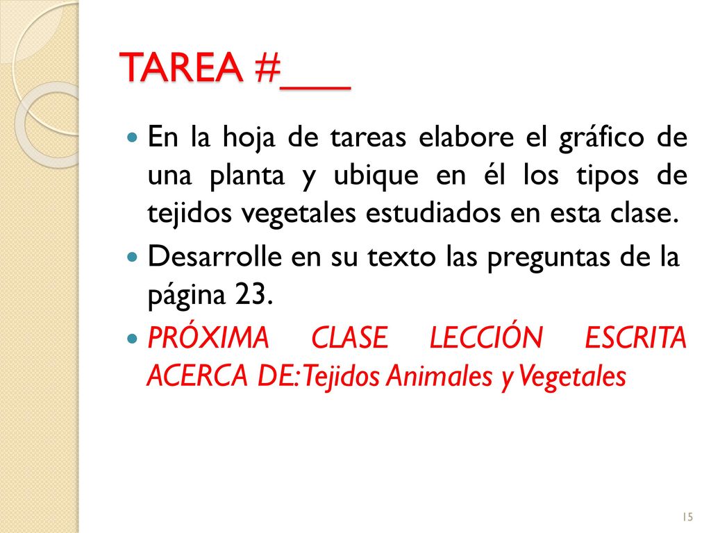 TAREA #___ En la hoja de tareas elabore el gráfico de una planta y ubique en él los tipos de tejidos vegetales estudiados en esta clase.
