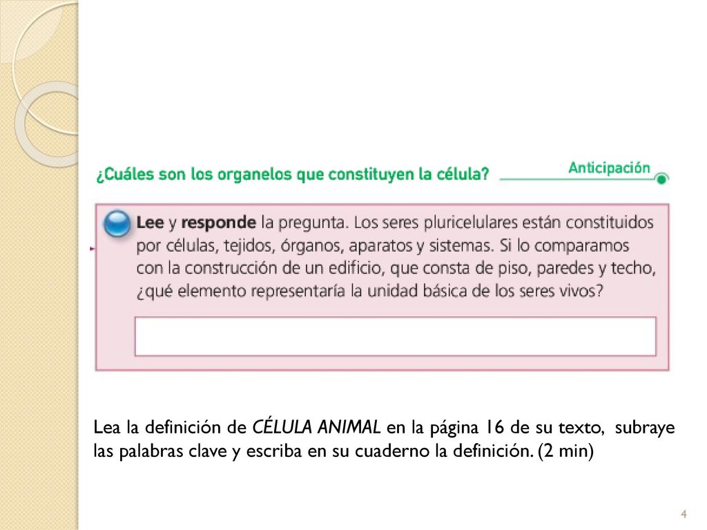Lea la definición de CÉLULA ANIMAL en la página 16 de su texto, subraye las palabras clave y escriba en su cuaderno la definición.