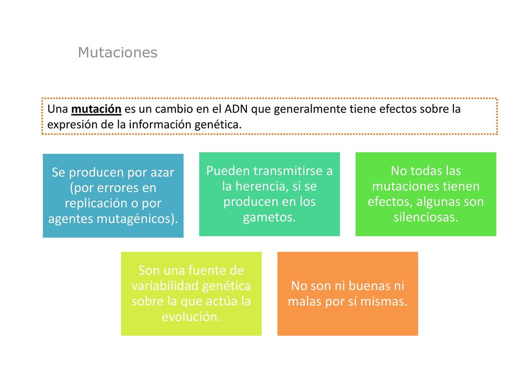 Pueden transmitirse a la herencia, si se producen en los gametos.